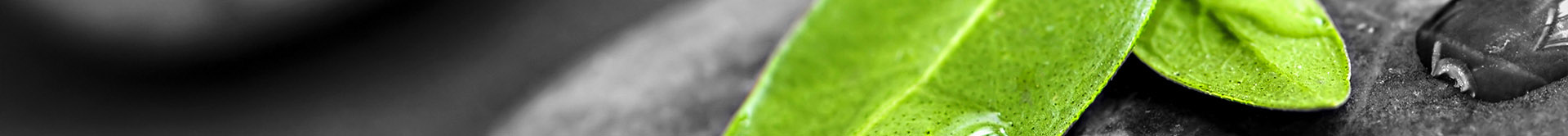 contact header